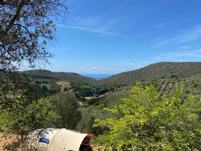 Divacamp Glamping Resort Campiglia Marittima Exterior foto